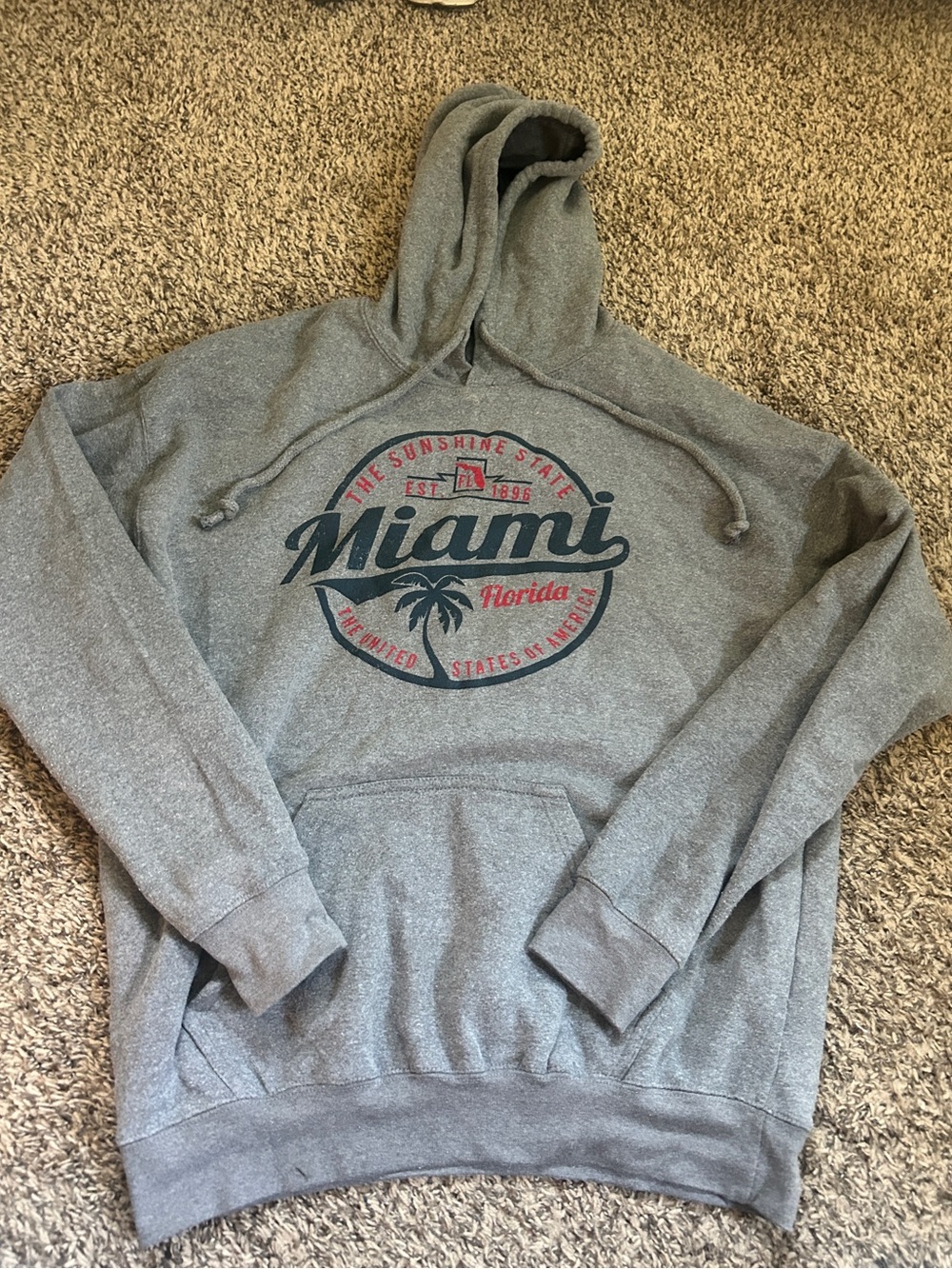 Miami Graphic Hooded Sweatshirt - Gray